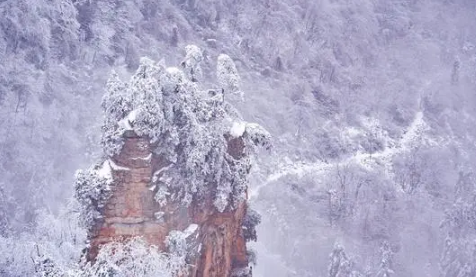 张家界天门山每年都下雪吗20243