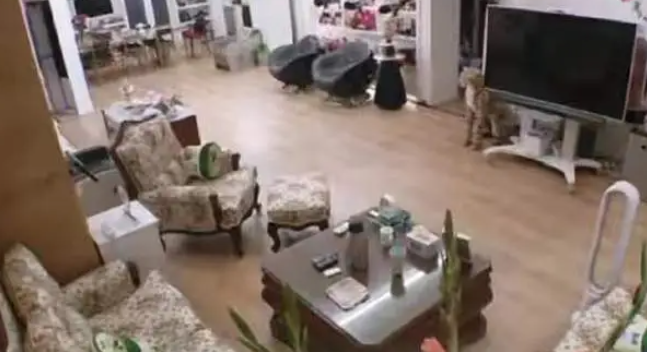 李晨的家世到底有多强大，李晨的家事身价