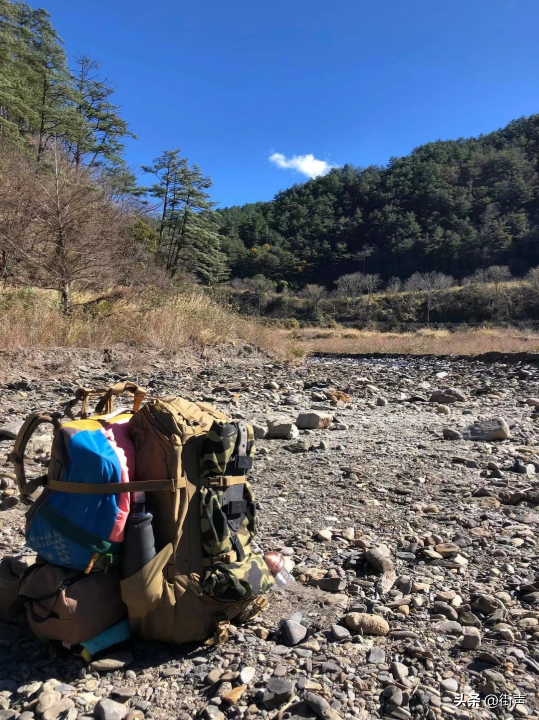 张震岳最近在干嘛（年轻时候的张震岳照片）