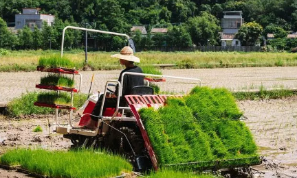 粮食补贴是不是谁种地就给谁（粮食补贴是给承包人还是耕种人）