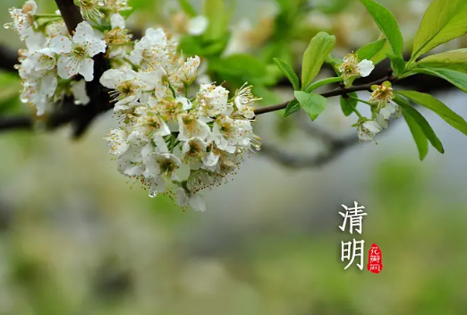 2023年清明节会下雨吗（2023年清明节天气怎么样）