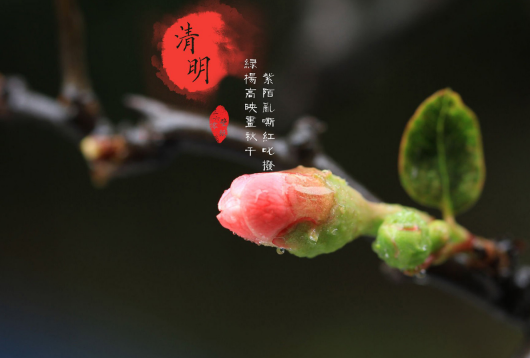 清明节烧纸在白天还是晚上（清明节烧纸是上午还是下午）