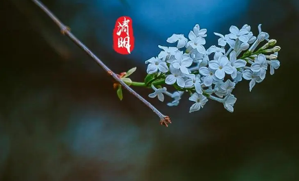 2023清明节不下雨好不好有啥预兆（清明节天气有什么讲究）