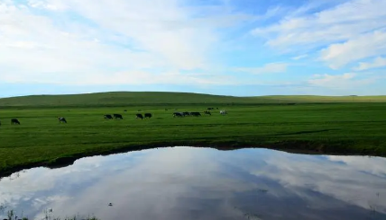 2023年内蒙古3月份去大草原有草吗（内蒙古几月份开始长草）