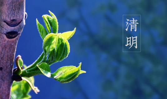 2023年清明节会下雨吗（2023年清明节天气怎么样）