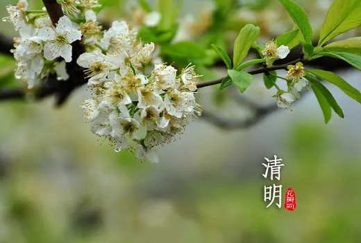 清明节烧纸在白天还是晚上（清明节烧纸是上午还是下午）