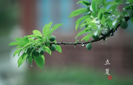2023立夏后几月会热