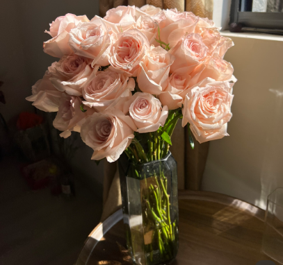 喵街花园的花哪种颜色好看（喵街花园的花是什么牌子）