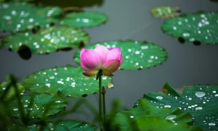 2023长沙梅雨季节是哪几个月1