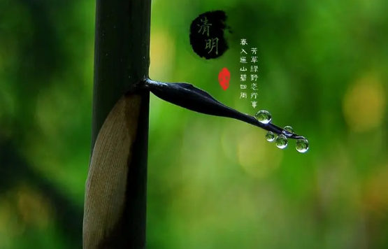 清明节在外地烧纸是当天烧还是前一天烧（清明节在外地烧纸是当天烧还是隔天烧好）