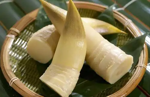 春笋放冰箱好还是放外面好（春笋放冰箱好还是常温好）