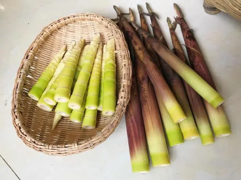 春笋白色的好还是黄色的好（春笋黄色的好还是绿色的好）