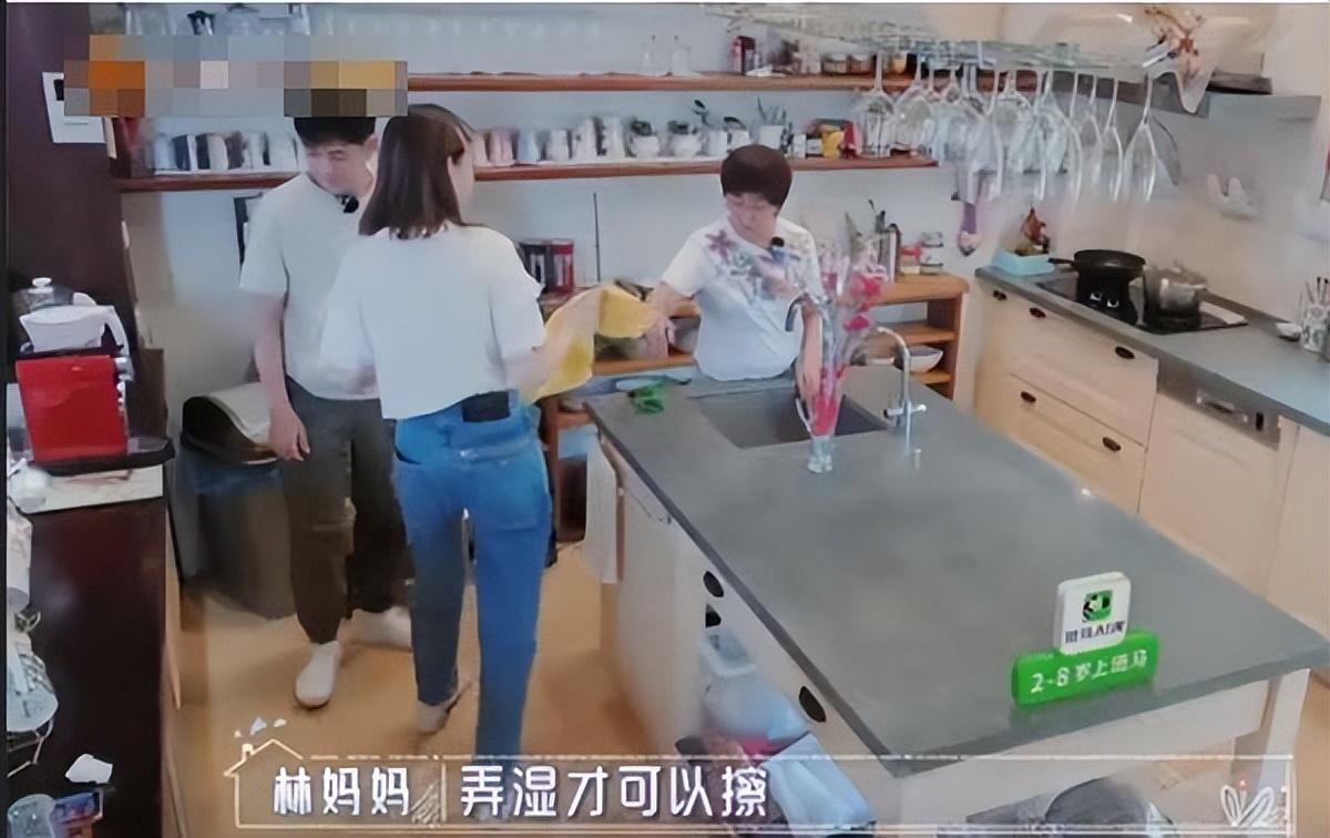 陈若仪为什么叫人工名媛（陈若仪为林志颖怀四胎）