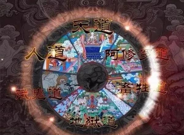 阿修罗到底是什么界（六道轮回之阿修罗传说）