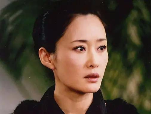 盖丽丽喂奶门事件（演员盖丽丽资料介绍）
