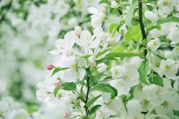 2023年6月有哪些节日和纪念日（2023年6月有什么重要日子）