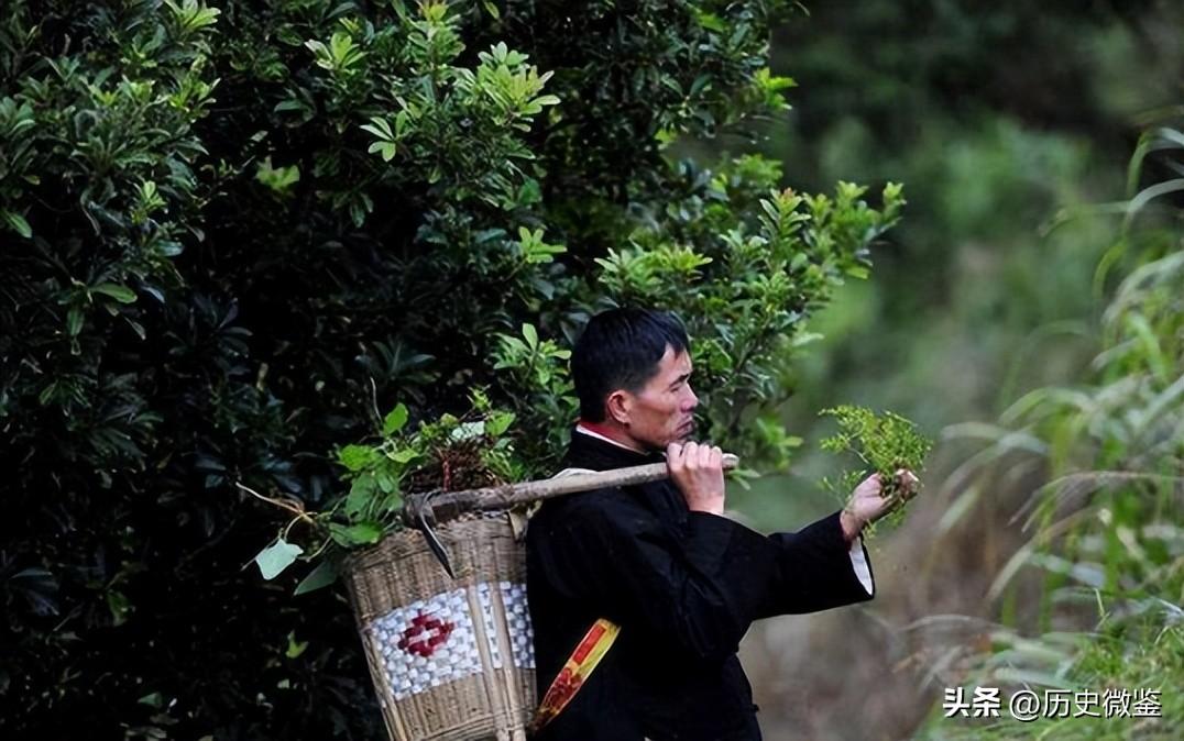 湘西蛊毒是真的吗（解读湘西蛊毒真实事件）