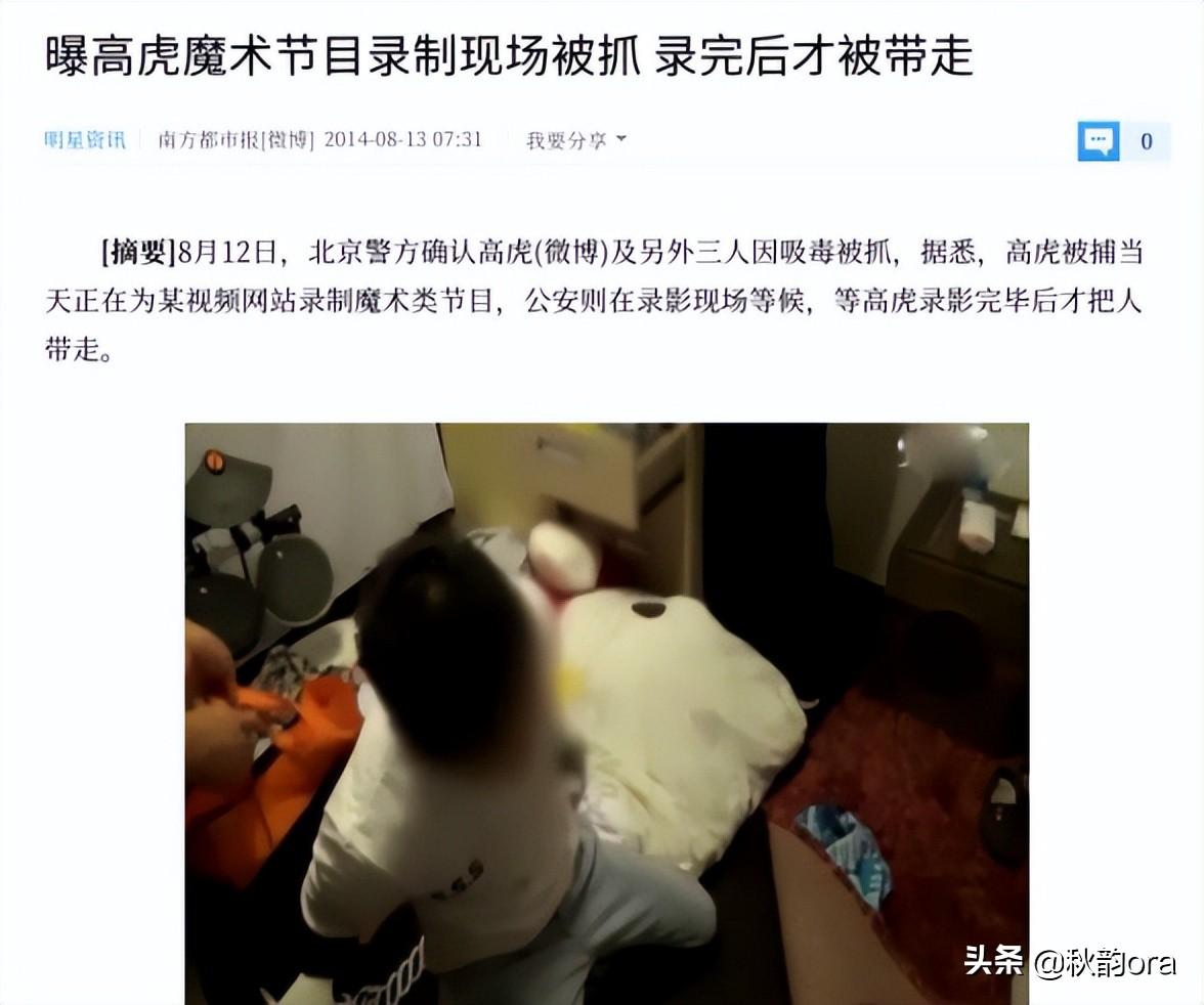 高虎犯什么事（演员高虎的人生经历）
