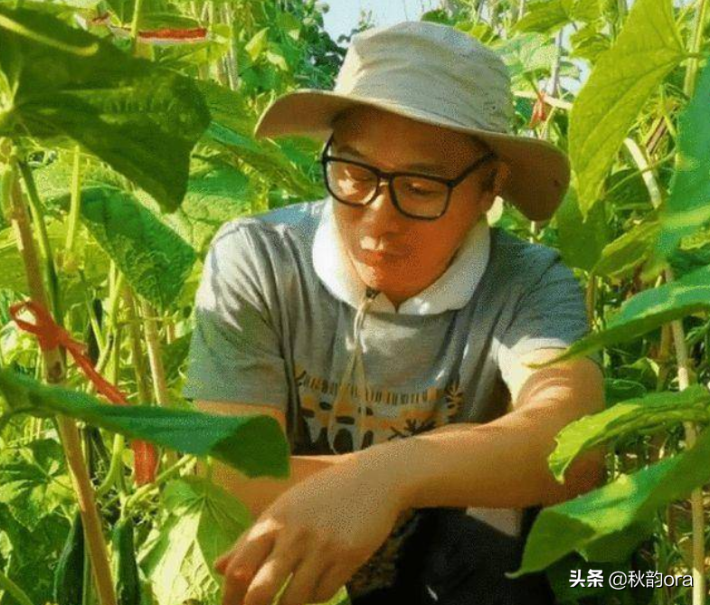 高虎犯什么事（演员高虎的人生经历）