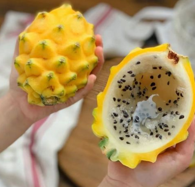 燕窝果要软了才能吃吗（燕窝果怎么吃）