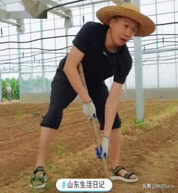 高虎犯什么事（演员高虎的人生经历）