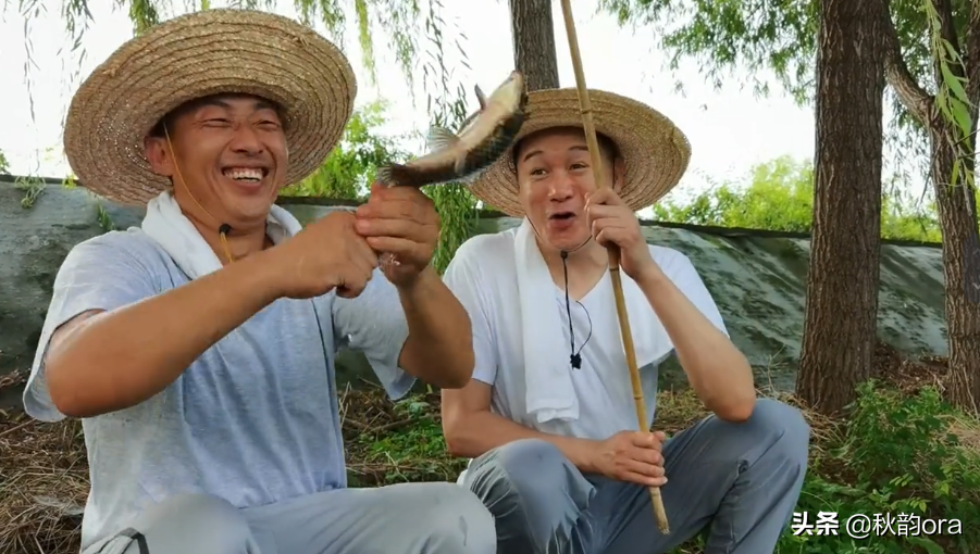 高虎犯什么事（演员高虎的人生经历）