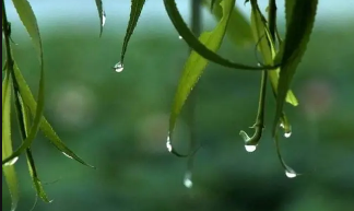 2023年湖南梅雨是几月份2