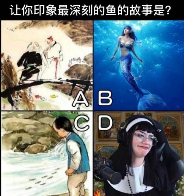 修女和鱼是什么梗（让你印象最深刻的鱼的故事是）