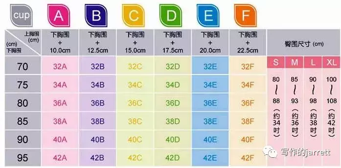 a的罩杯大还是b的罩杯大（女生罩杯大小示意图）