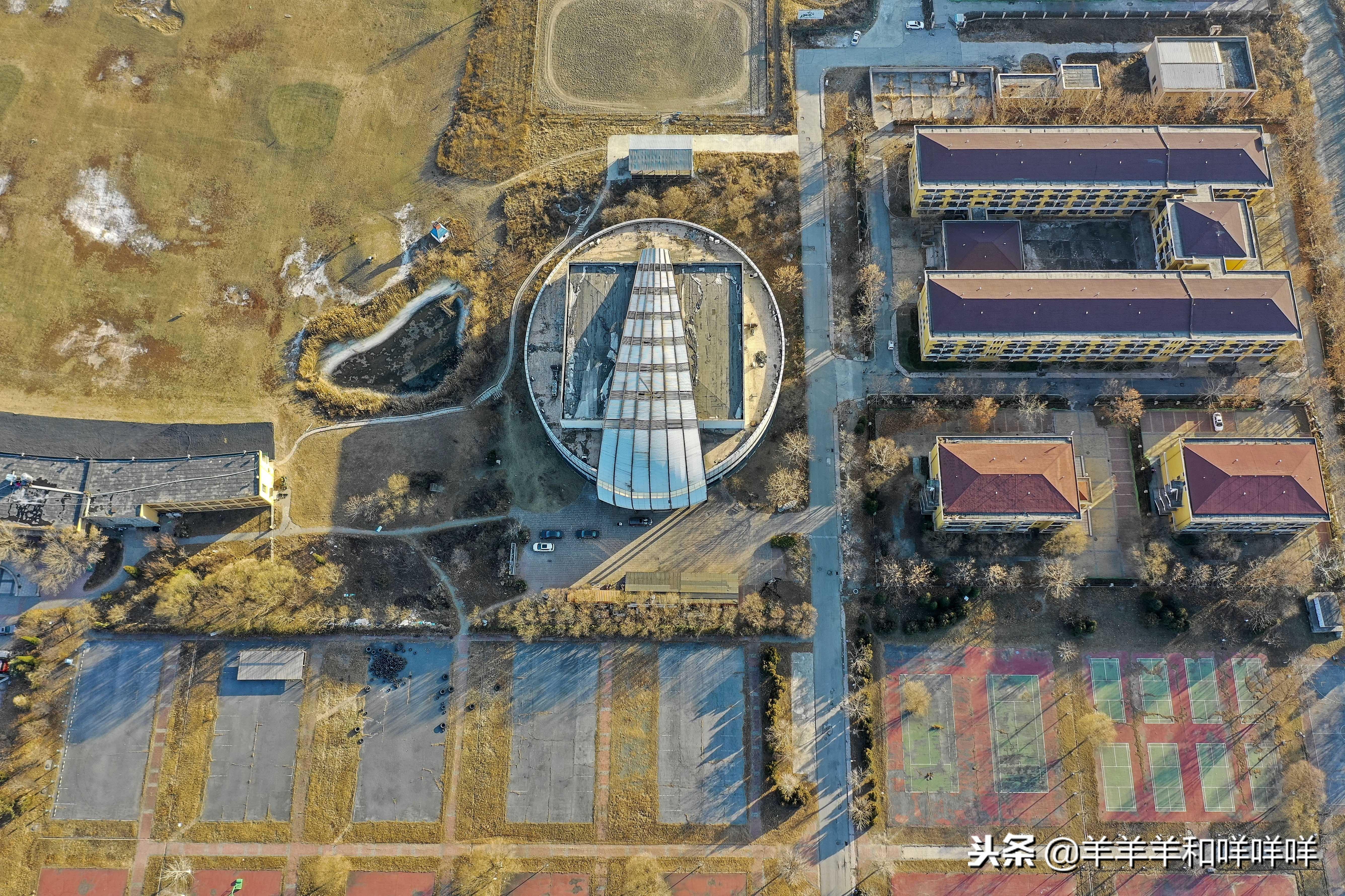 中国保镖第一人是谁（镖王陈永青简介资料）