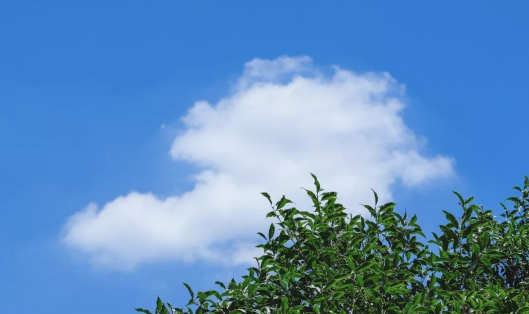 2023年一伏二伏三伏是哪天（2023年一伏二伏三伏的时间）