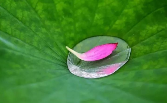 2023年一伏二伏三伏是哪天（2023年一伏二伏三伏的时间）