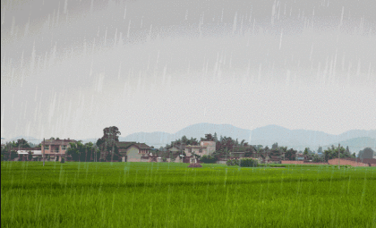 20237月大西北雨水多不多（7月大西北降雨量大吗）