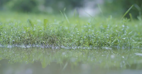 ​今年为什么这么旱不下雨20233