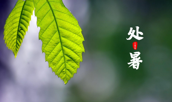 2023处暑后多长时间就不热了（2023处暑过几天就不热了）