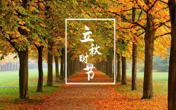 立秋后吃茄子好还是吃丝瓜好（立秋吃茄子和丝瓜哪个好）