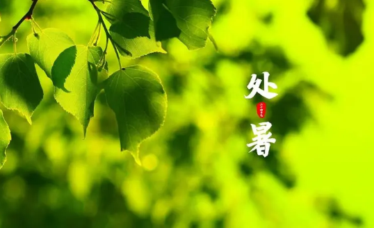 2023年处暑是几月几日几点几分几秒（2023年处暑是什么时间）