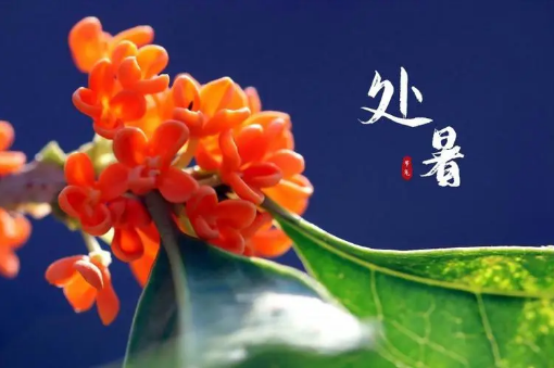 2023年处暑是哪一天开始的（2023年处暑在八月几日星期几）