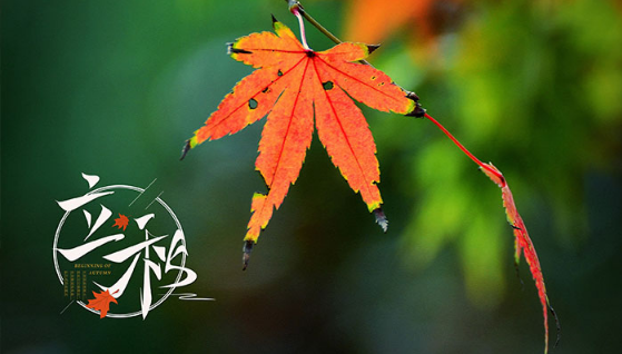 立秋吃饺子还是吃面条好（立秋吃什么传统小吃）