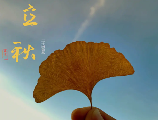 立秋后吃什么食物对身体好（立秋后吃什么食物最养生）