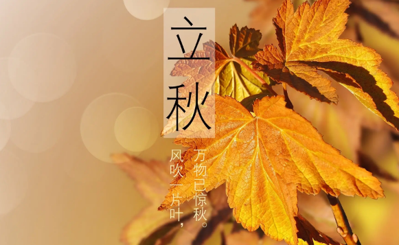 2023立秋后雨水还会多吗（2023立秋后雨水多还是雨水少）