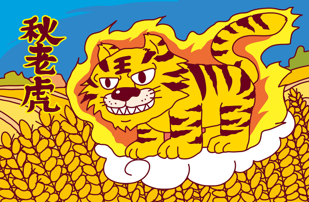 秋老虎怎么分公母（秋老虎公母界定的方法）