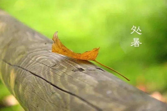 2023处暑晚上是不是凉快了（2023处暑之后晚上还热吗）