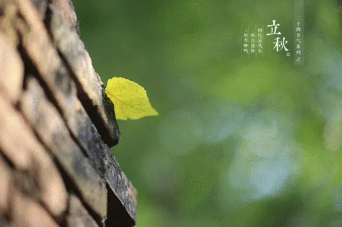 2023立秋后夜晚还热吗（2023过了立秋晚上还热不热）