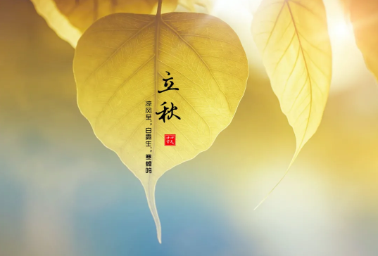 立秋打雷好不好（立秋打雷好还是不打雷好）