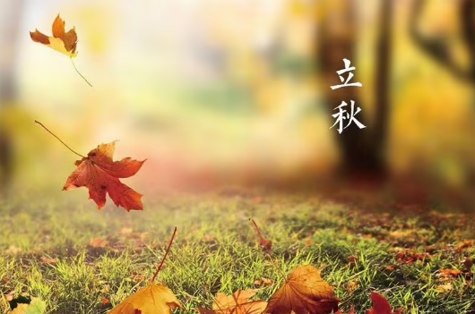 2023立秋后还会有高温天气吗（过了立秋高温天气就结束了吗）