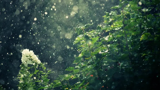 秋老虎下雨是不是就凉快了（秋老虎下雨为什么热）
