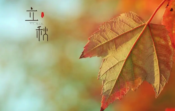 立秋打雷好不好（立秋打雷好还是不打雷好）