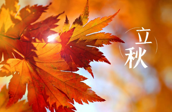 2023立秋后雨水还会多吗（2023立秋后雨水多还是雨水少）
