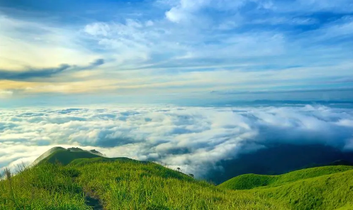 武功山坐索道可以带宠物吗（武功山坐索道可以带狗进去吗）